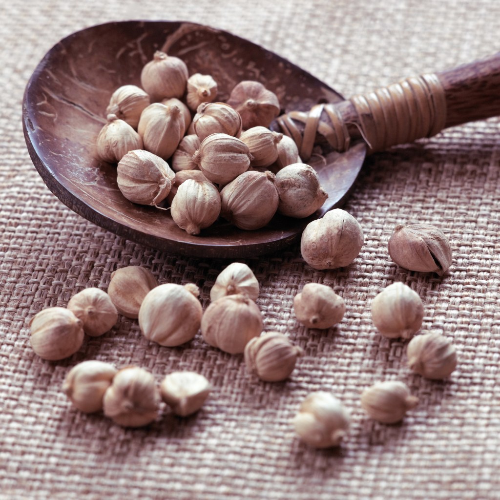 Noz da Índia, usada para emagrecer, é proibida pela Anvisa