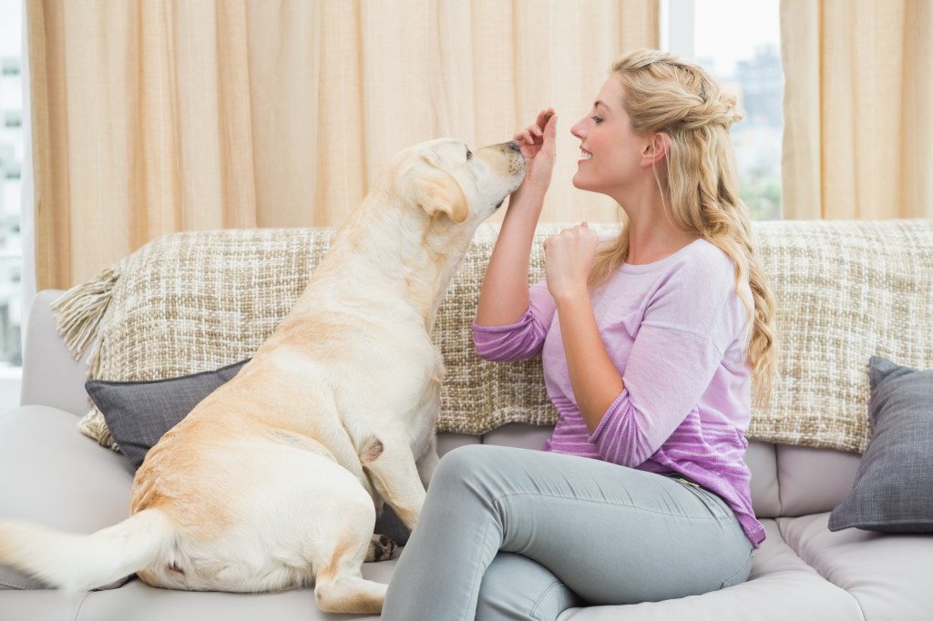 Mulher com cachorro