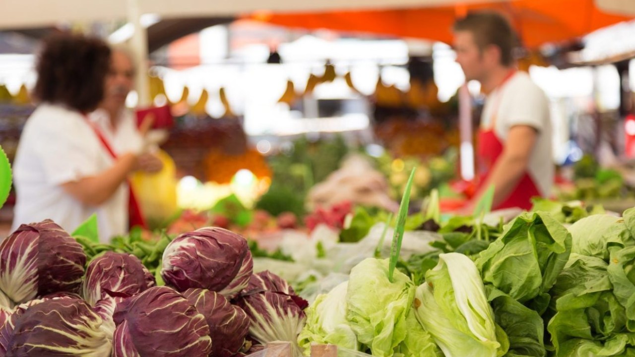 feira de orgânicos
