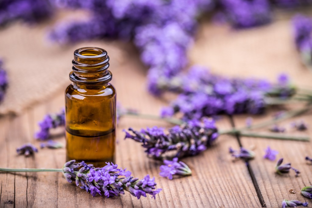 Vidro de frasco âmbar com óleo e flores de lavanda em um piso de madeira