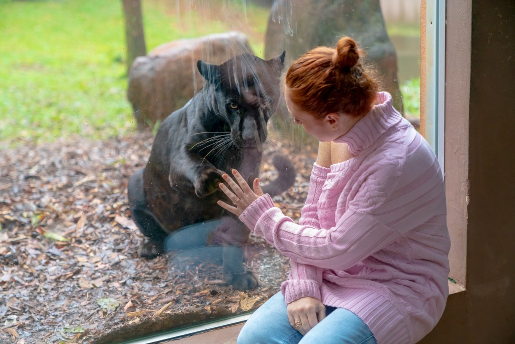 Escapes com Cacá Filippini: “Somos responsáveis por preservar a natureza”