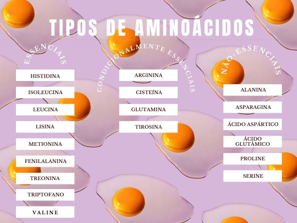 aminoacidos