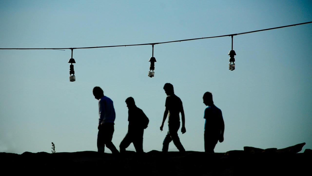 Evolução: o caminho só se faz caminhando