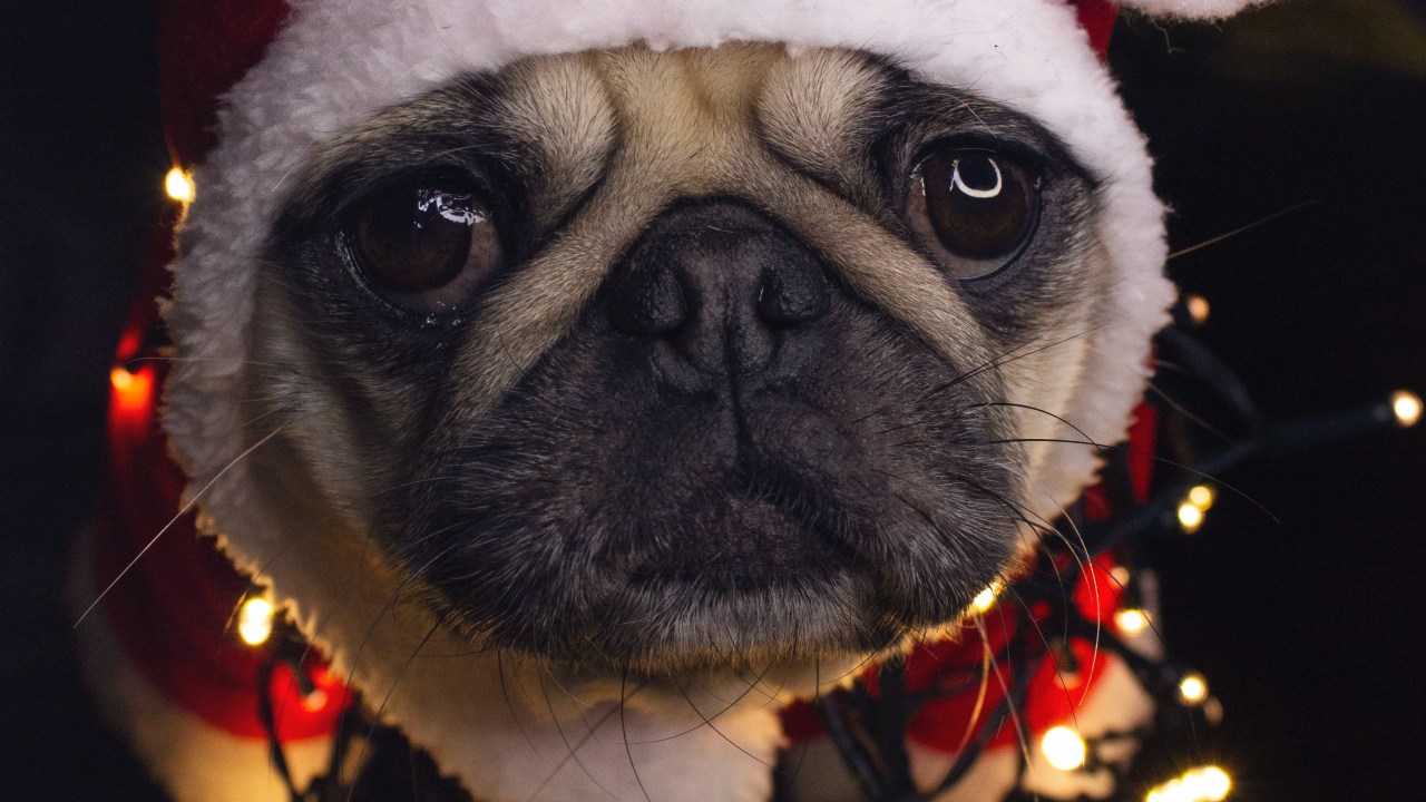 Você não é obrigado a gostar do Natal, mas pode fazer algo por si mesmo para não sofrer tanto nessa data