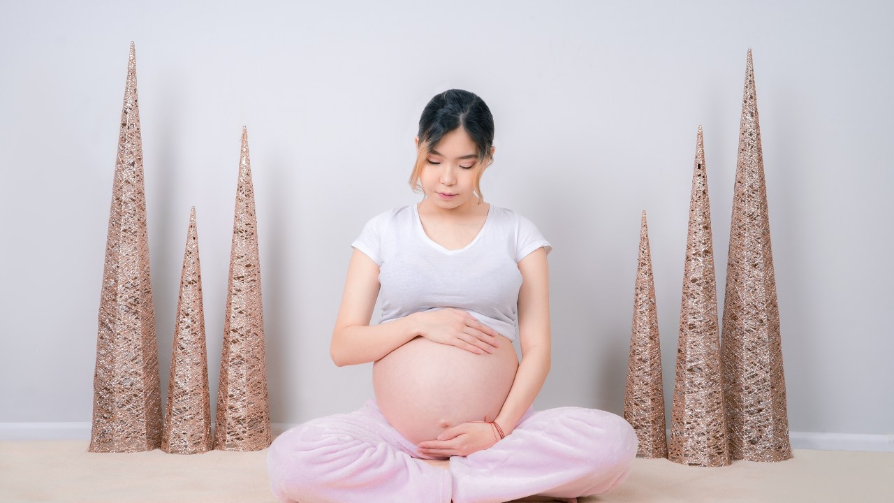 menstruação e fertilidade