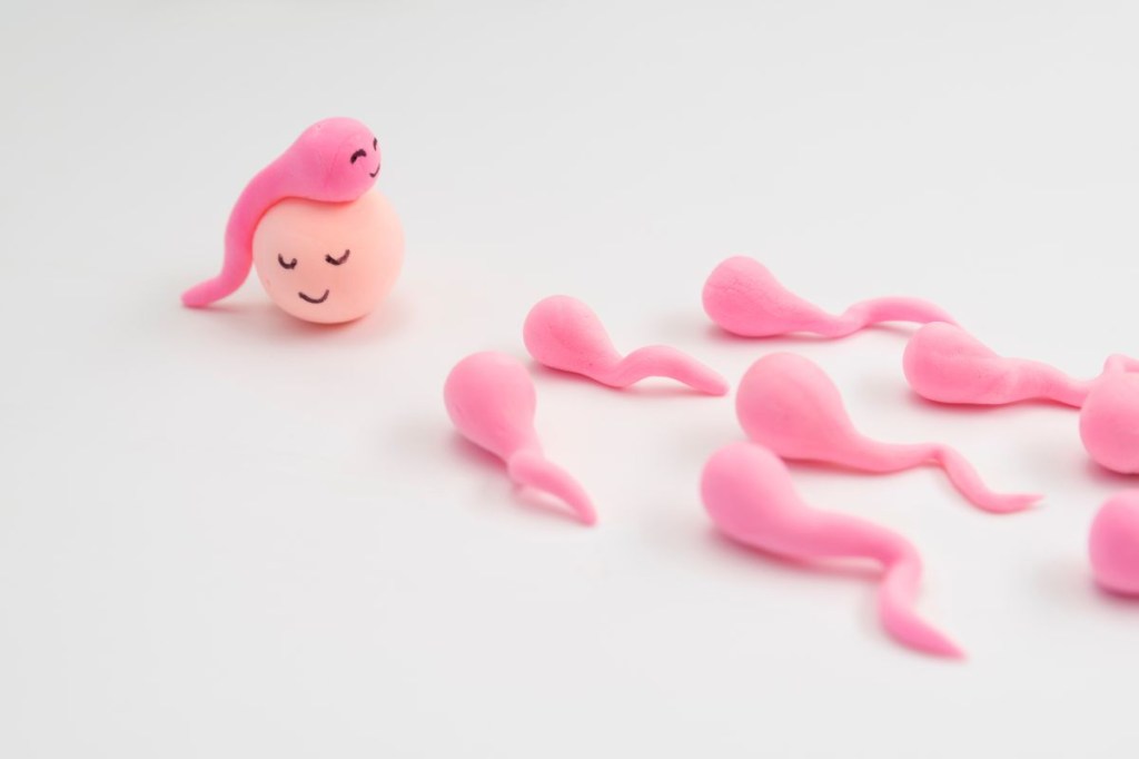 Como o tratamento do câncer afeta a fertilidade?