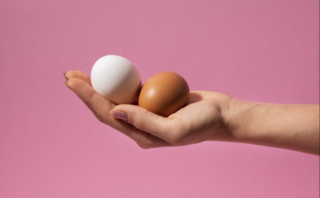 Ovo como cosmético? Profissionais indicam 10 usos para pele e cabelo