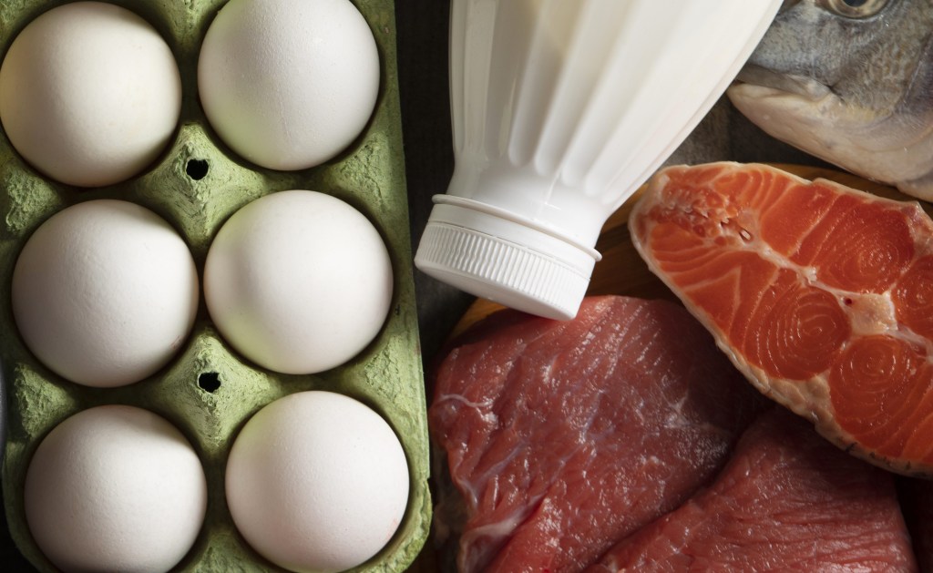 Consumo excessivo de proteína: os impactos no coração