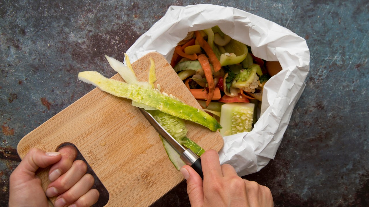 Veja dicas para reduzir o desperdício de alimentos no dia a dia