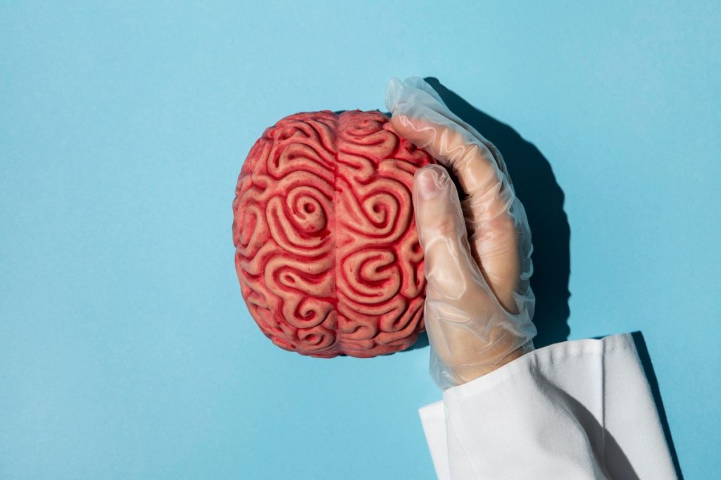 Descubra os sintomas e fatores de risco do tumor cerebral