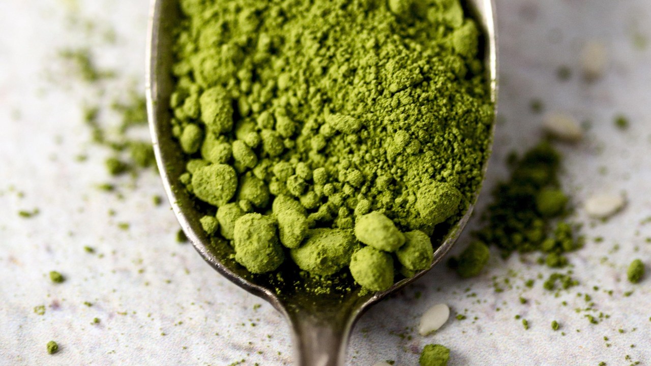 Confira os benefícios da spirulina para a saúde