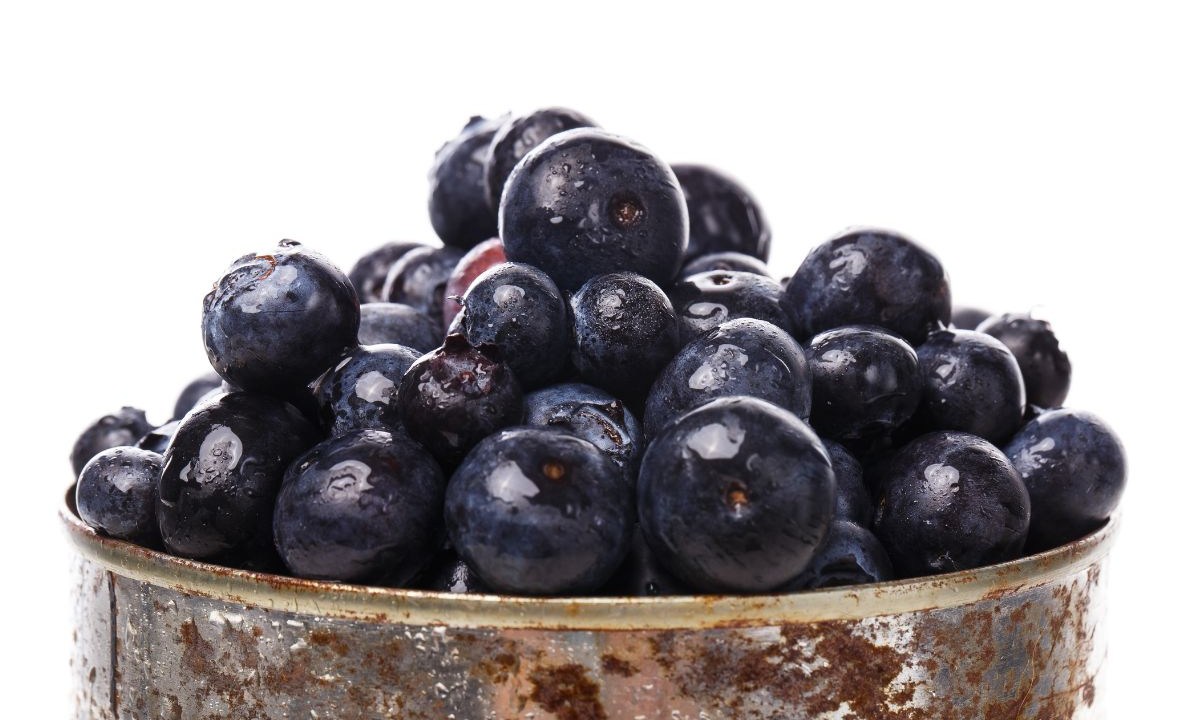 beneficios da jabuticaba