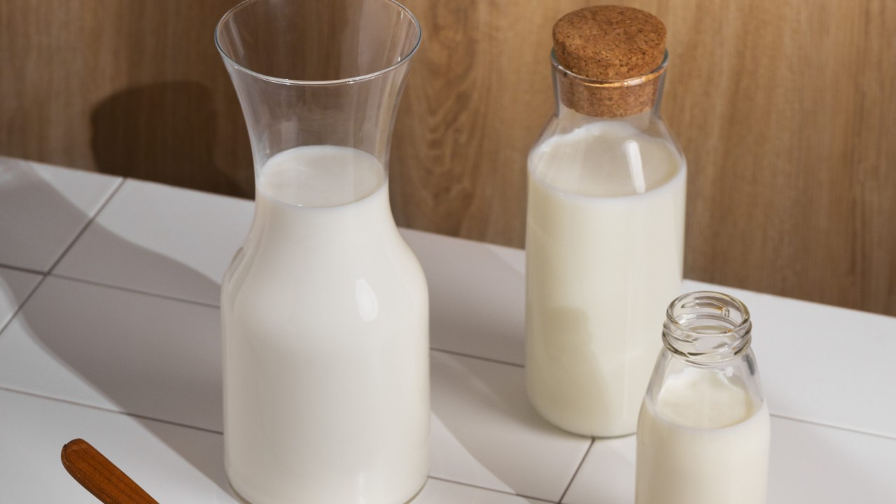 Veja boas razões para adicionar o leite vegetal em sua alimentação