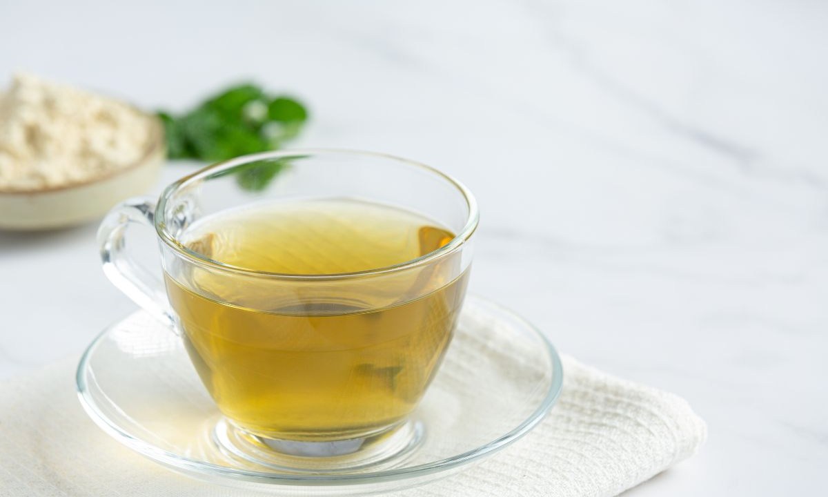 chá de moringa tiktok