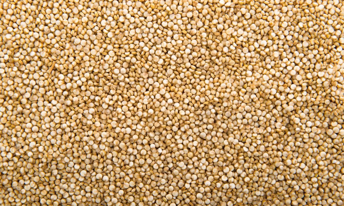 como incluir quinoa na dieta diária