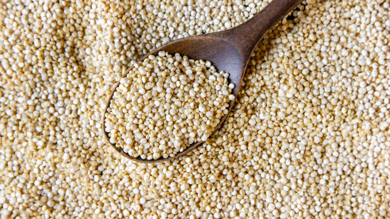 Confira como reduzir os antinutrientes ao preparar quinoa