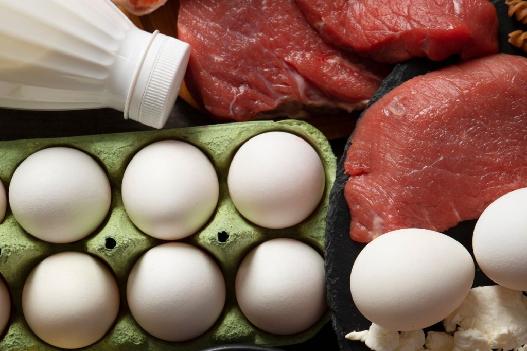 Entenda a quantidade ideal de proteína que você deve consumir diariamente