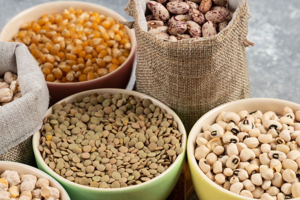 Alimentos que são verdadeiros tesouros de proteínas vegetais: conheça